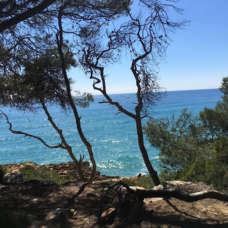 فيلا Casa Con Gran Jardin Cerca De La Playa - Baix تاراغونا المظهر الخارجي الصورة